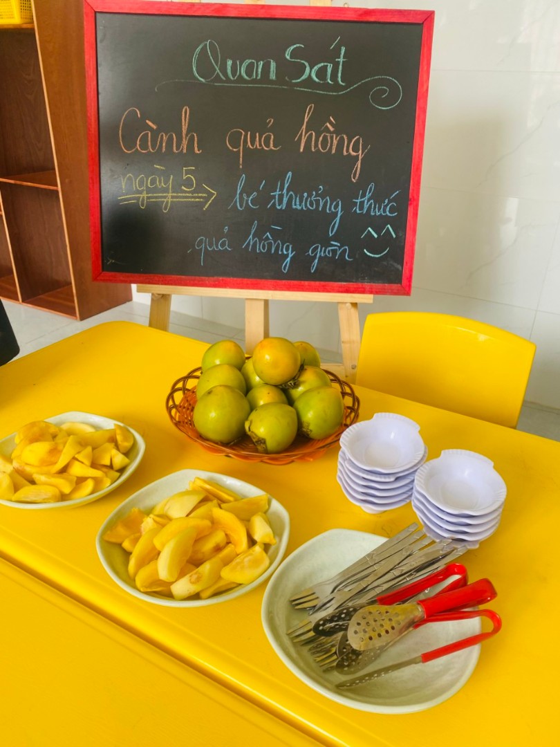 Chế độ dinh dưỡng