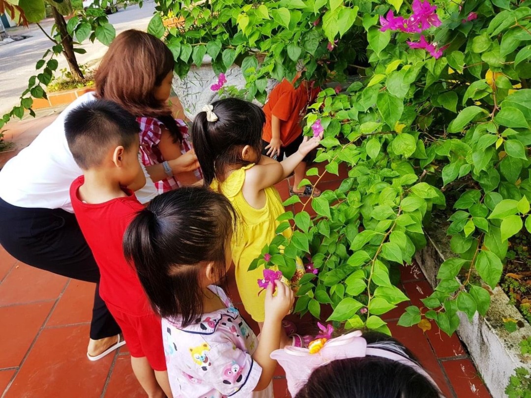 Chế độ dinh dưỡng