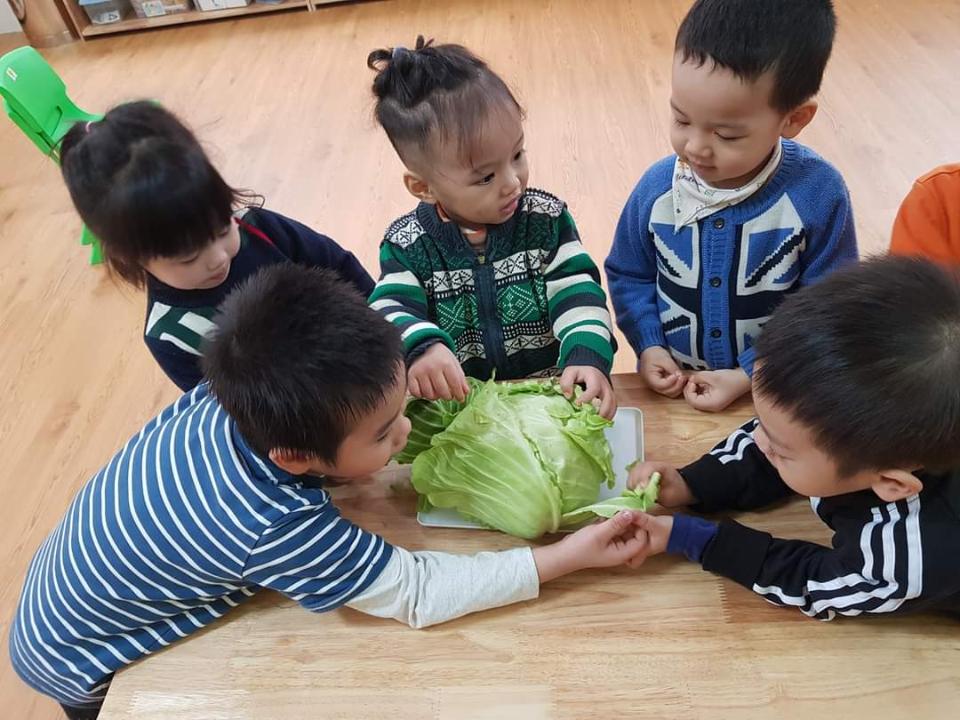 Chế độ dinh dưỡng