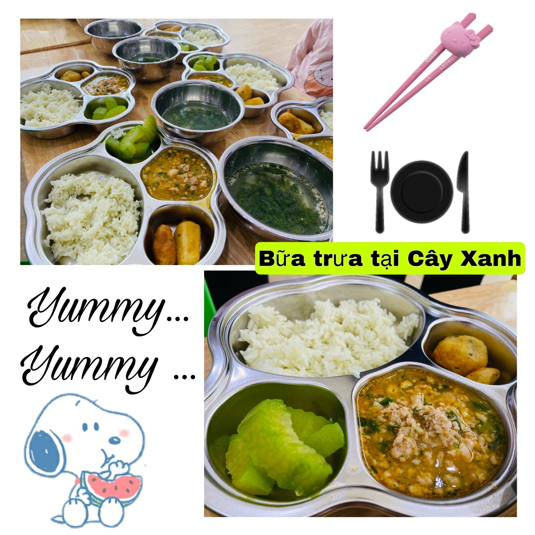 Chế độ dinh dưỡng