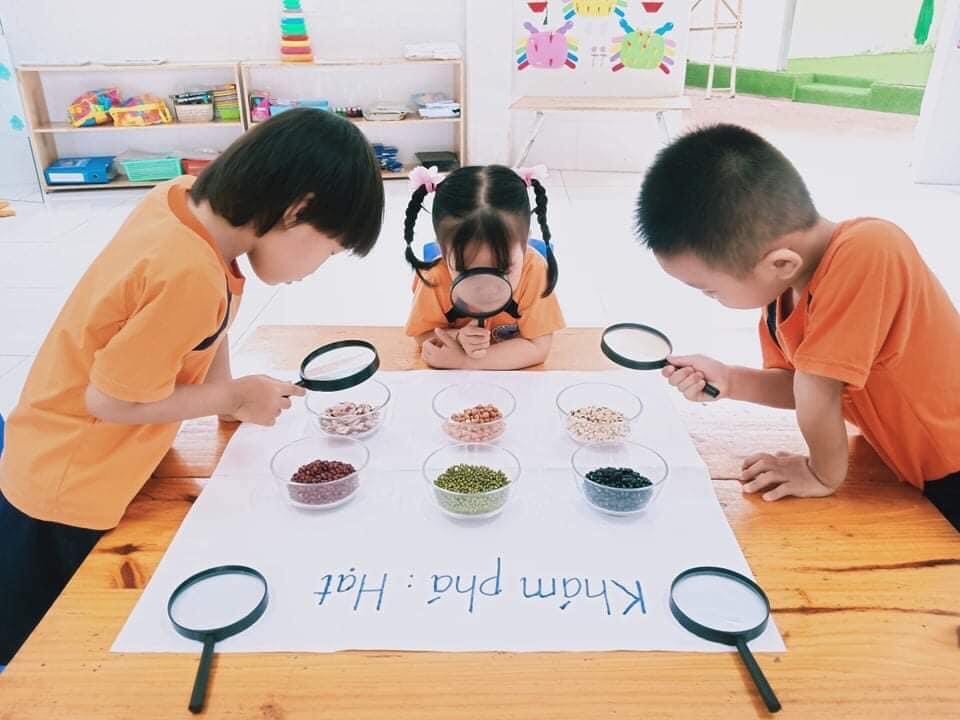 Chương trình học