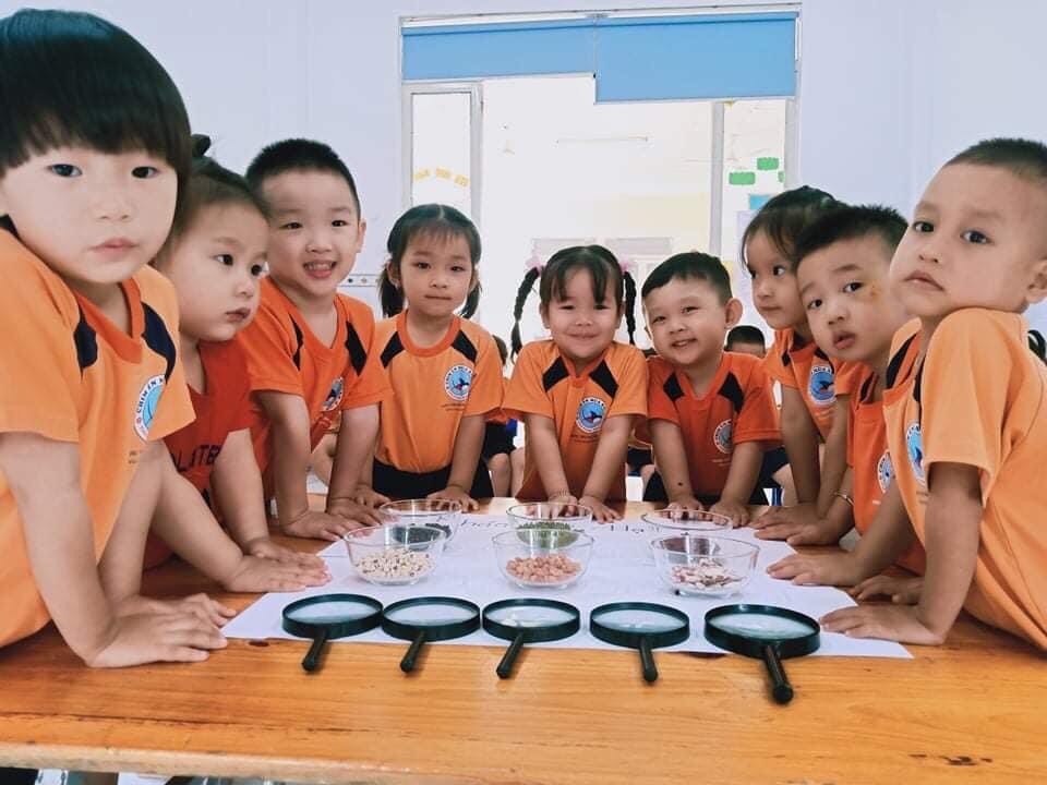 Chương trình học