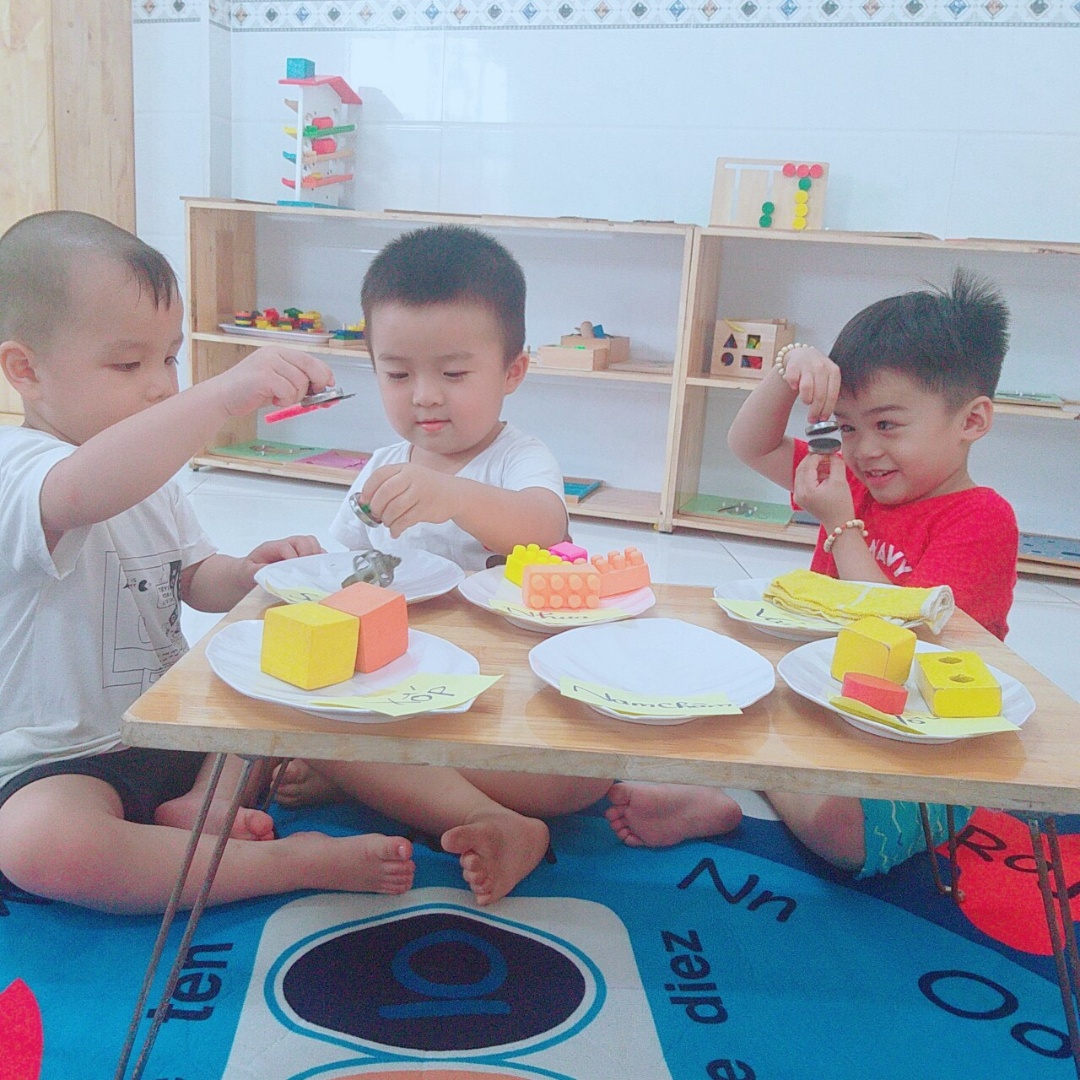 Chương trình học