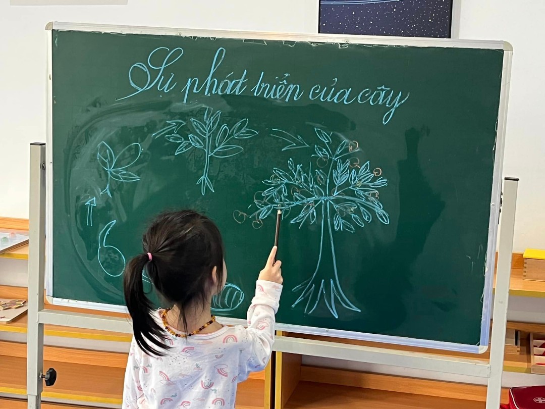 Chương trình học