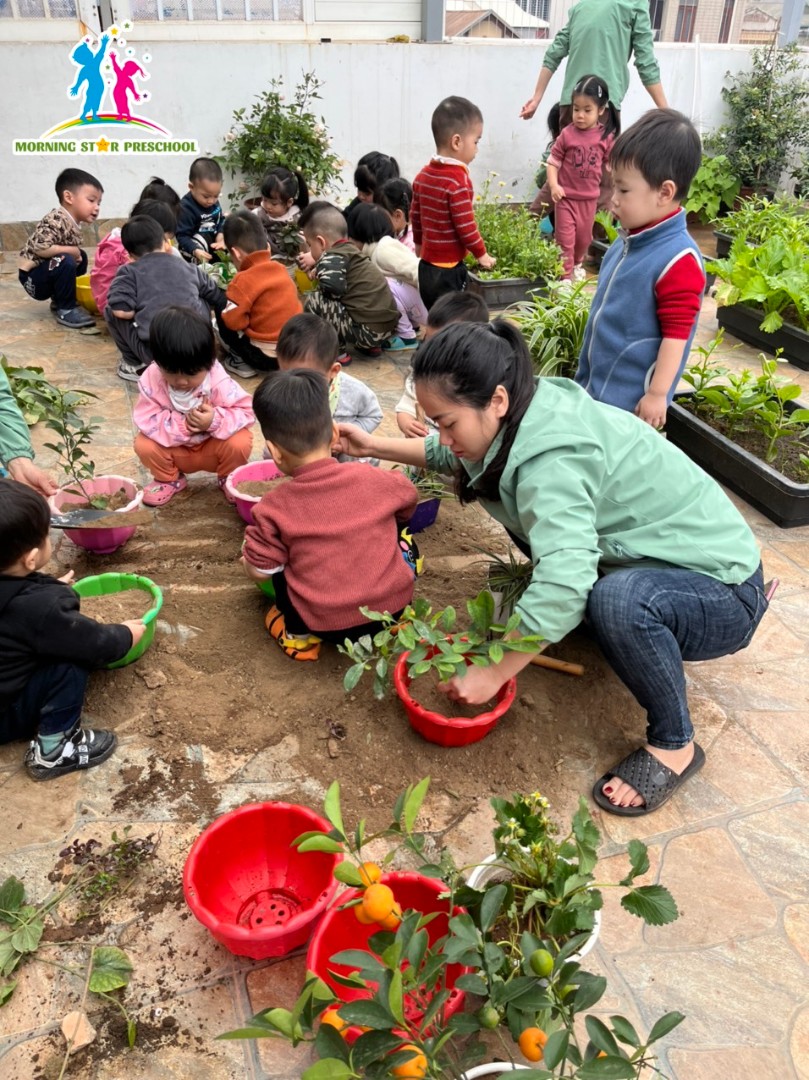 Chương trình học