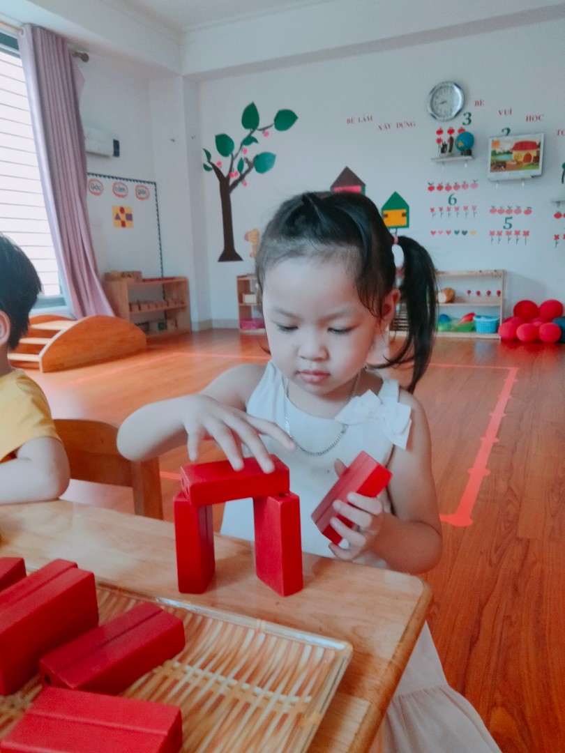 Chương trình học