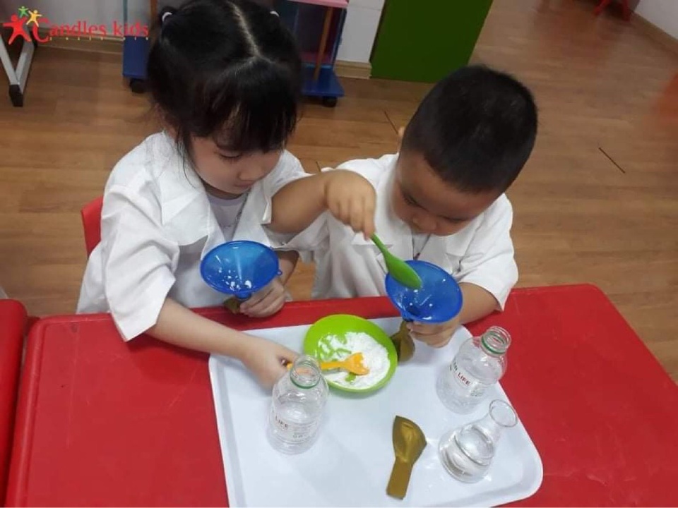 Chương trình học