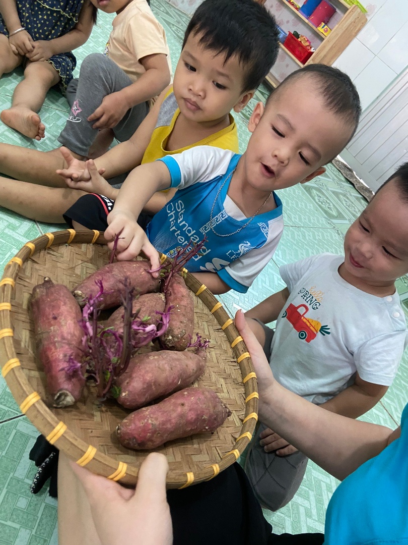 Chương trình học