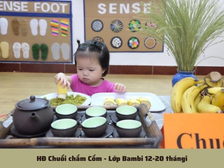 Chương trình học