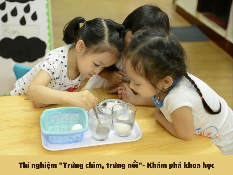 Chương trình học