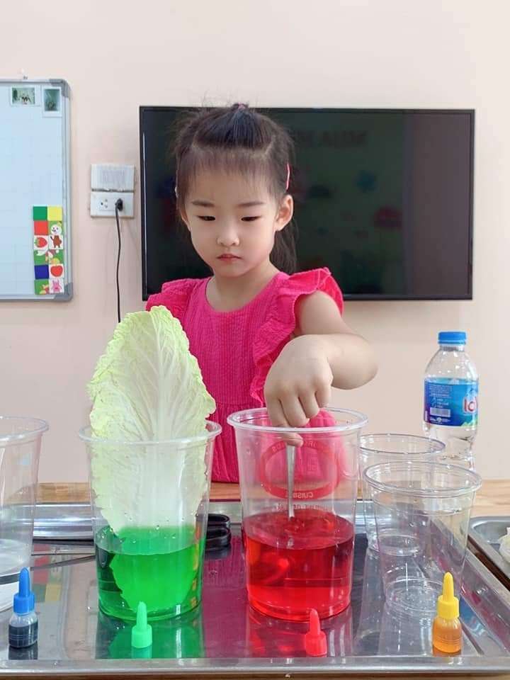 Chương trình học