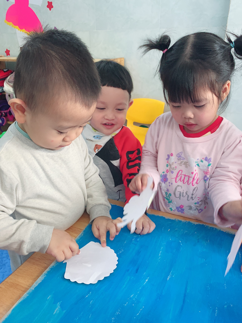 Chương trình học