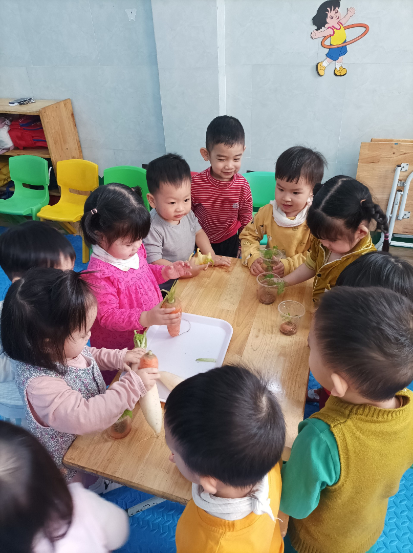 Chương trình học