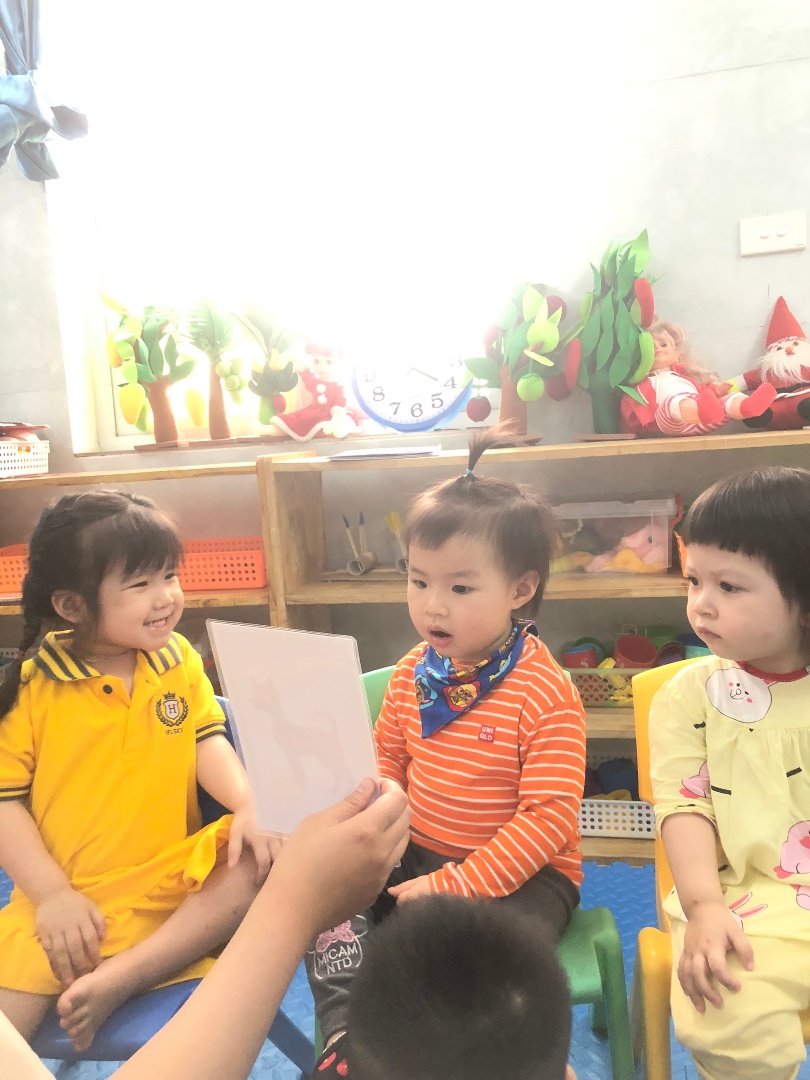 Chương trình học