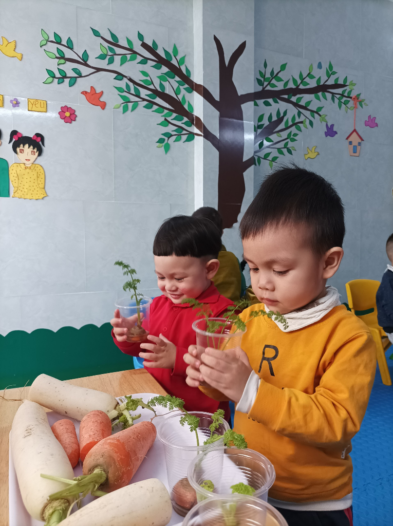 Chương trình học