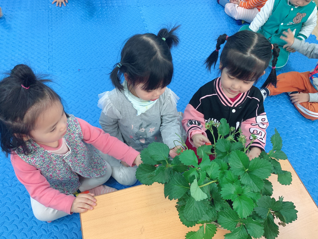 Chương trình học