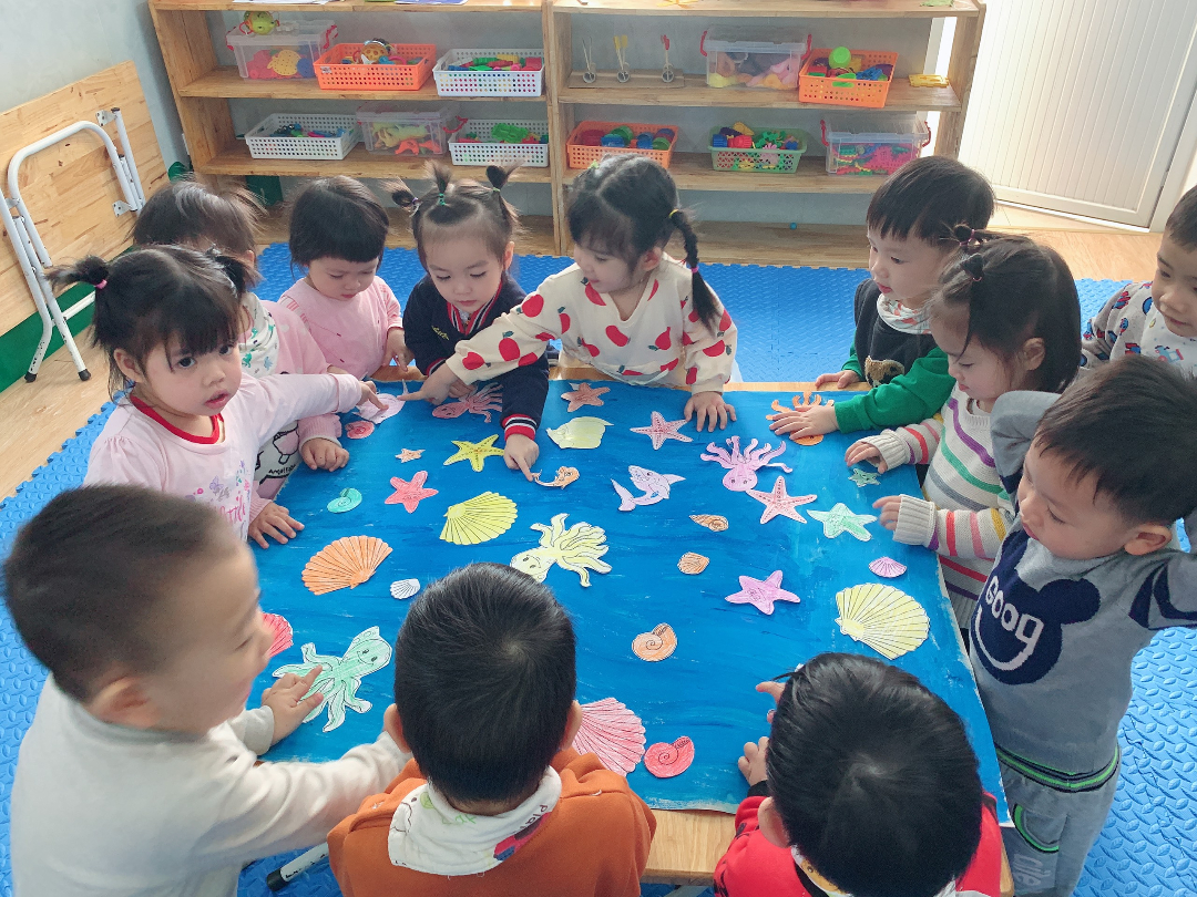 Chương trình học