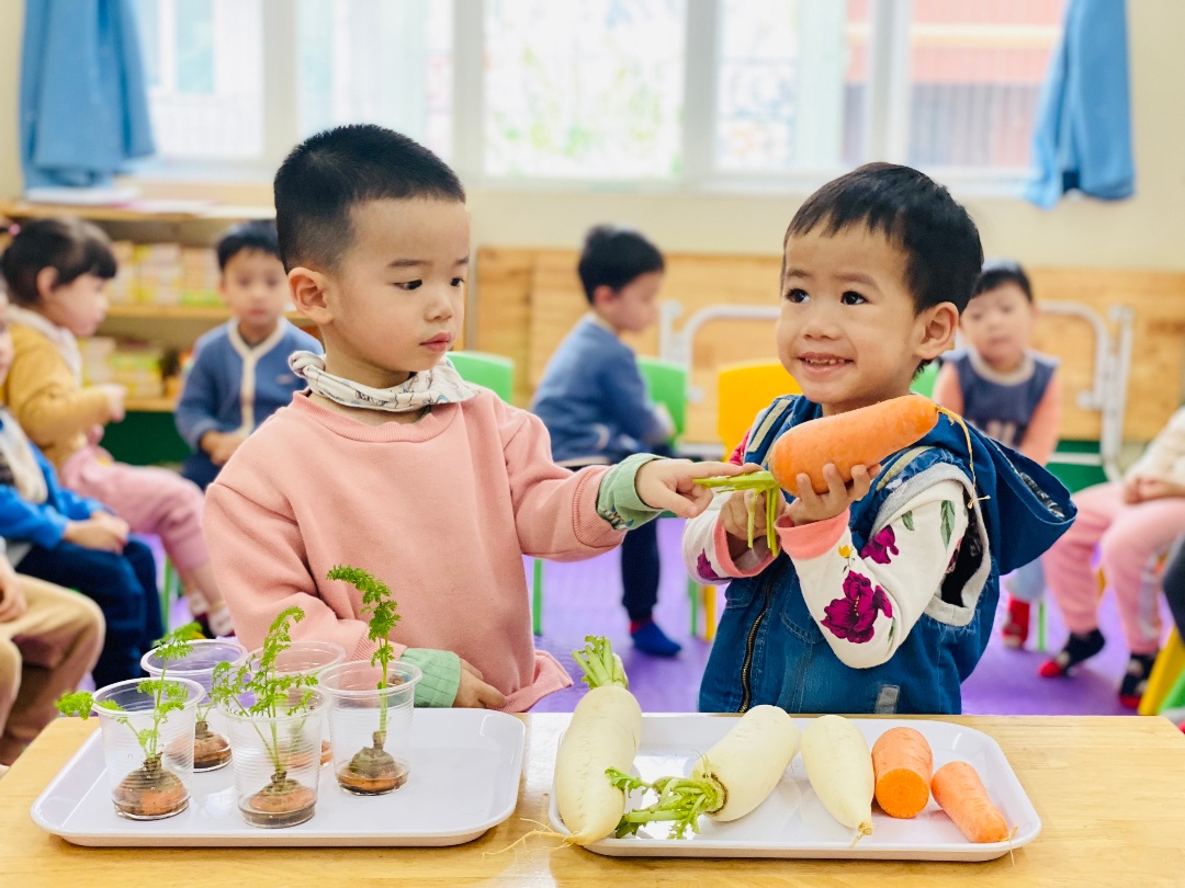 Chương trình học