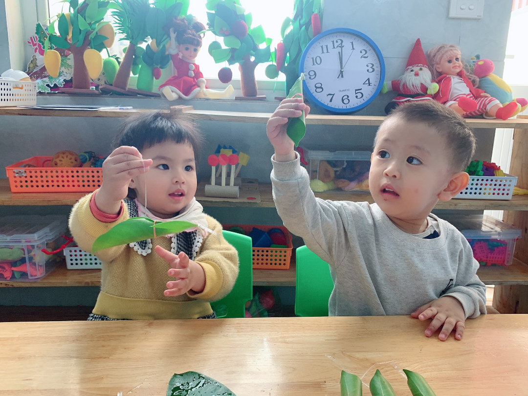 Chương trình học