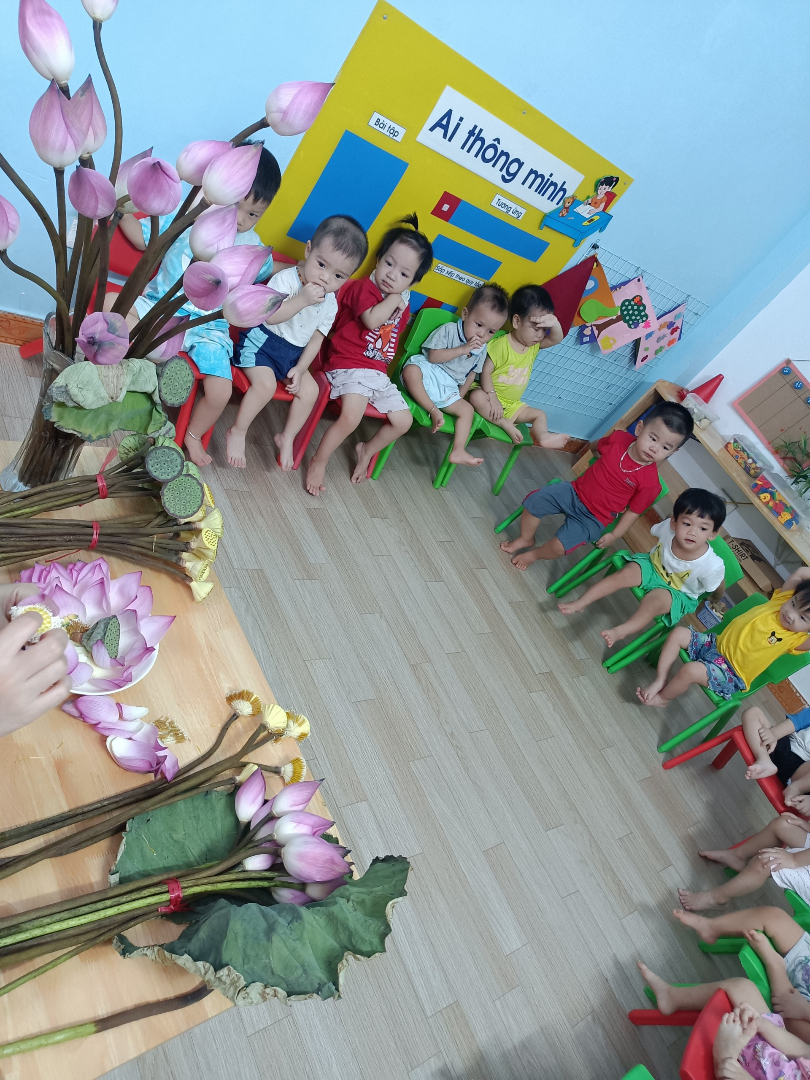 Chương trình học