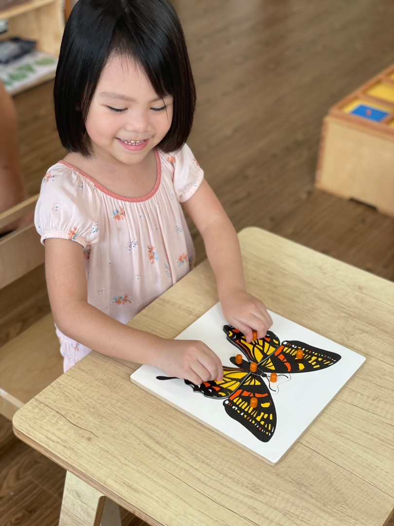 Chương trình học