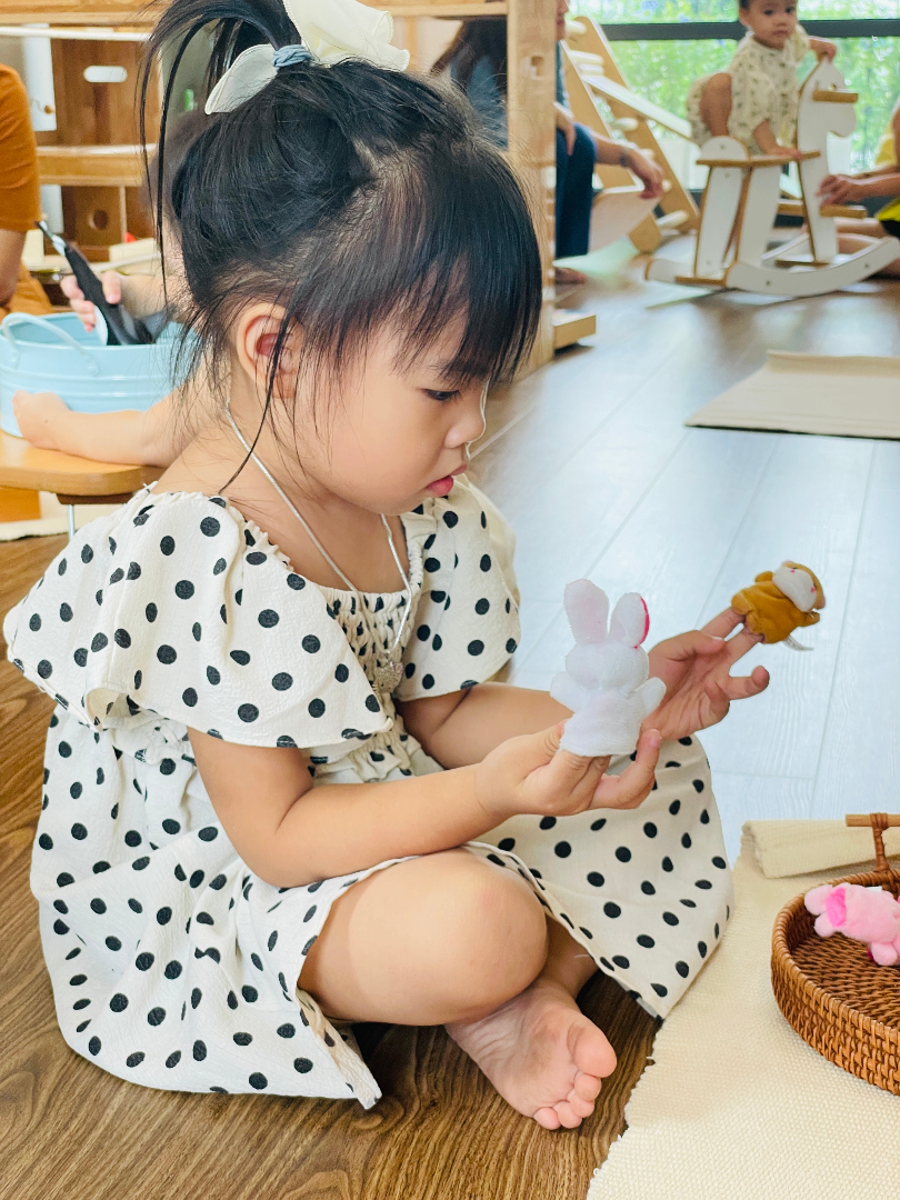 Chương trình học