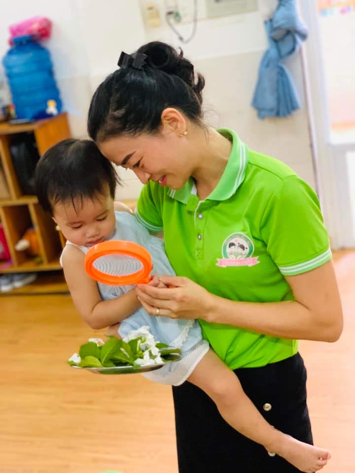 Chương trình học