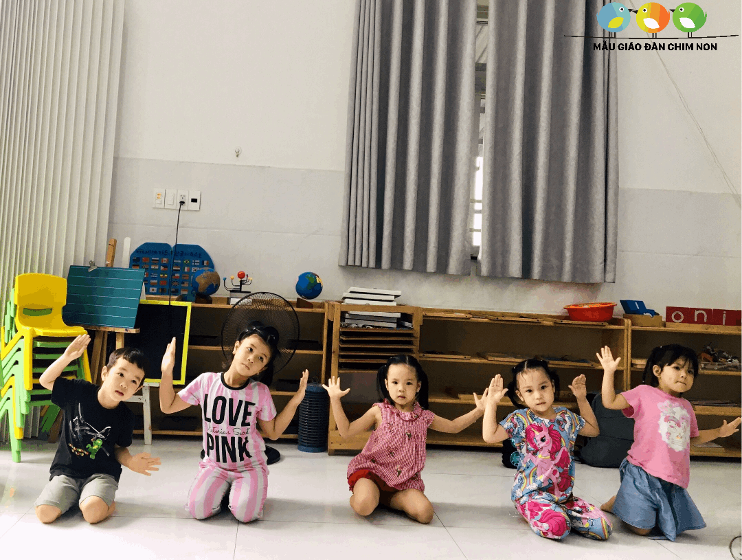 Chương trình học