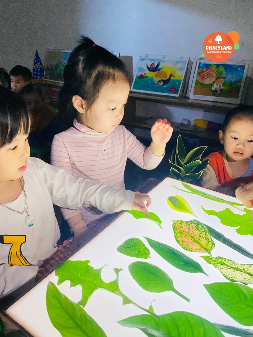 Chương trình học