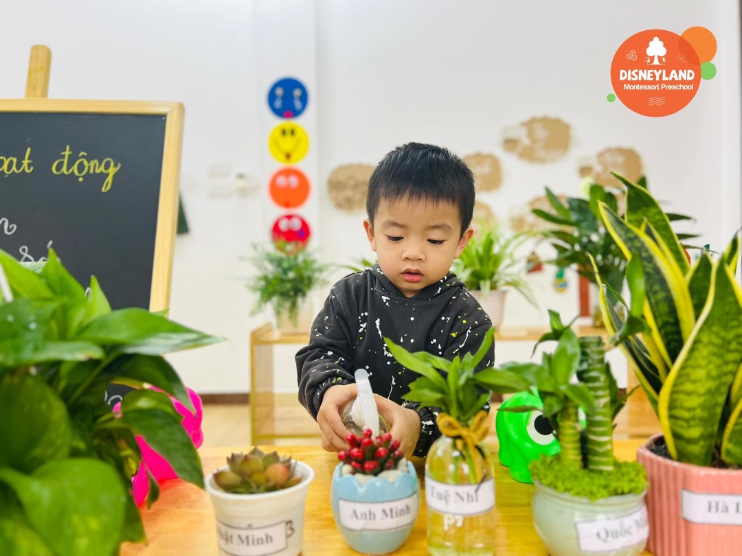 Chương trình học