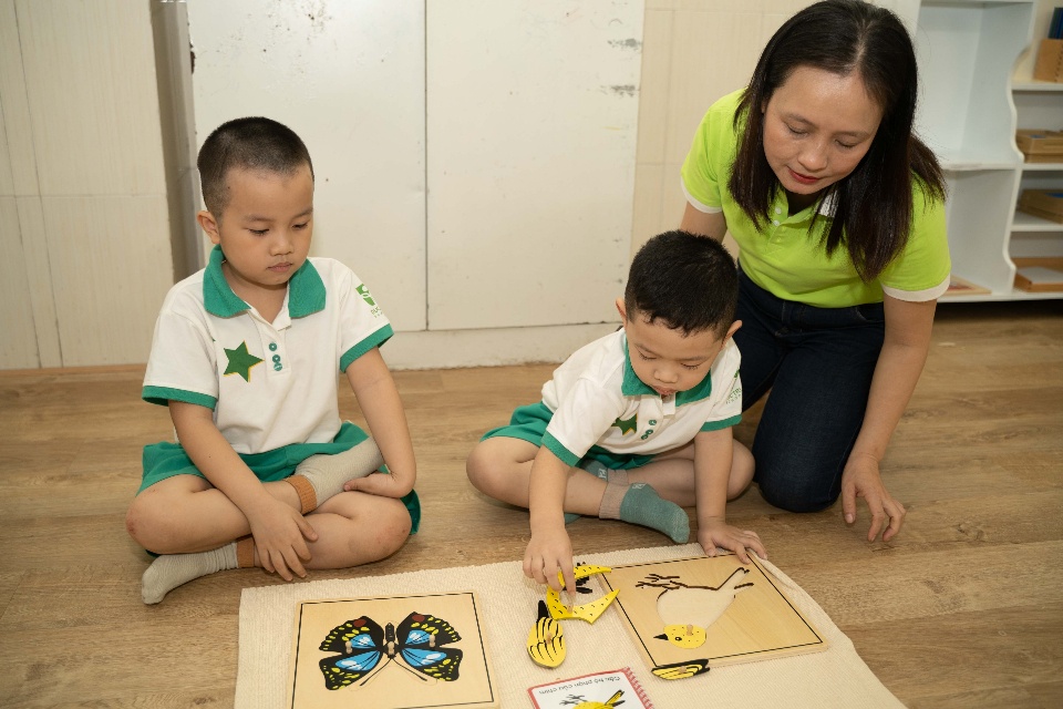 Chương trình học