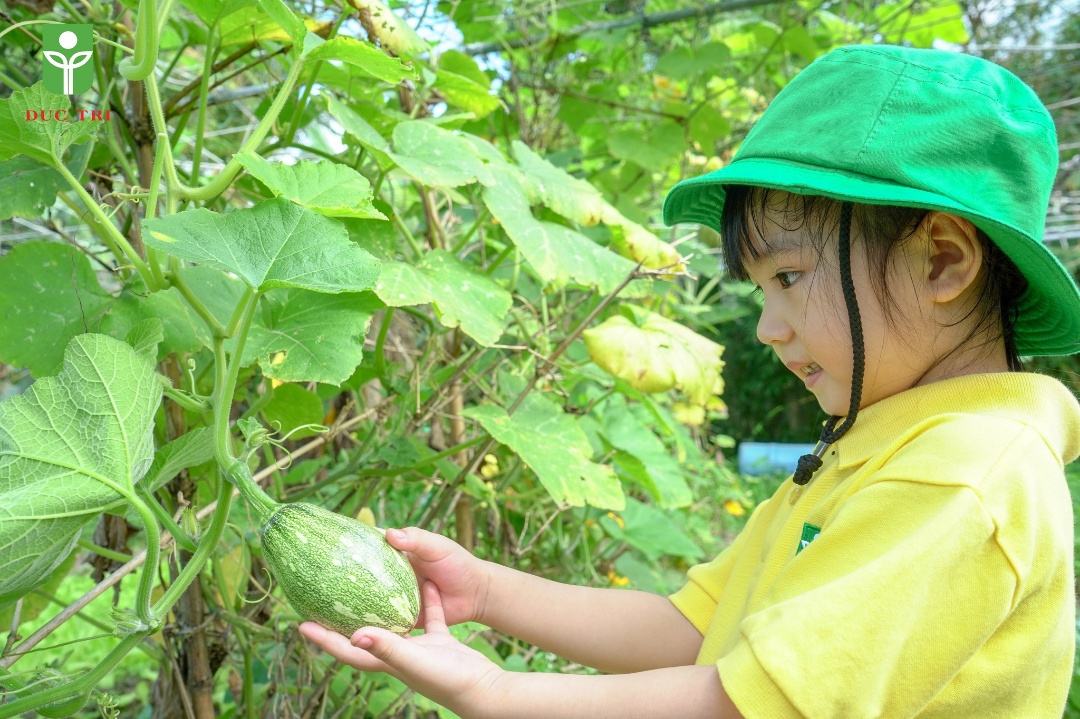 Chương trình học