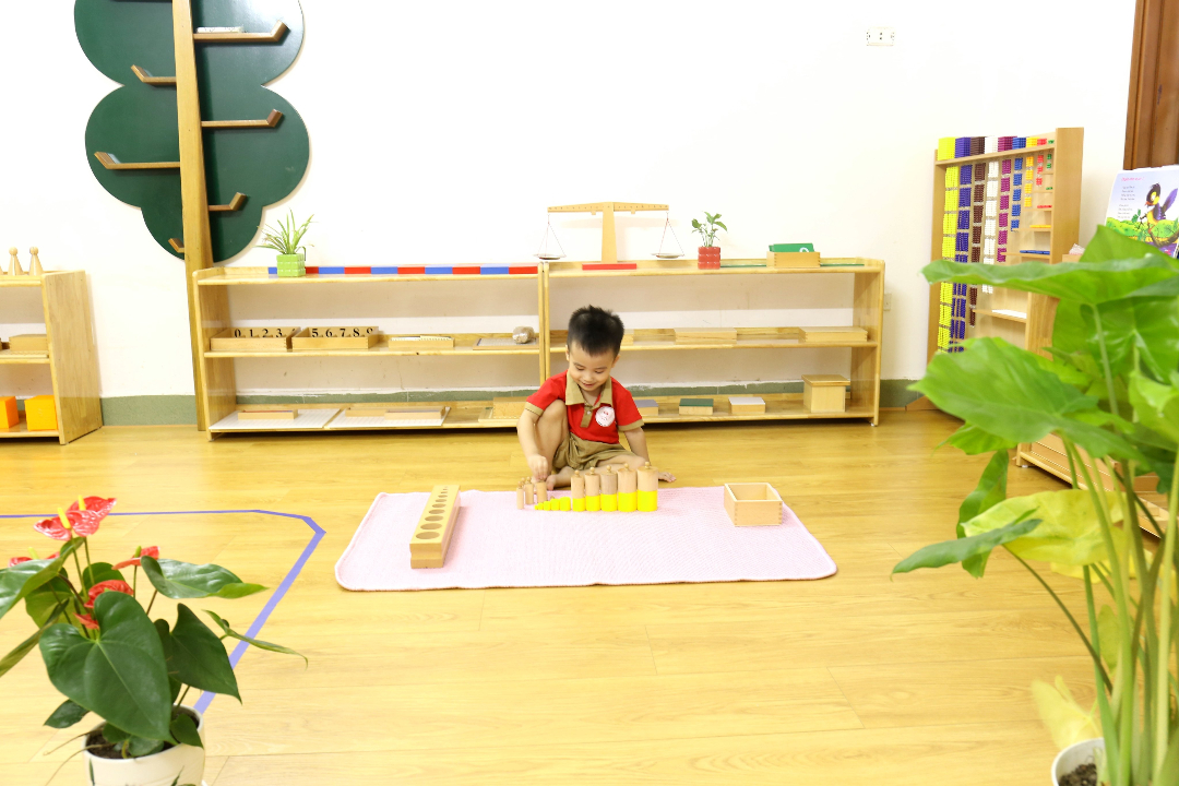 Chương trình học