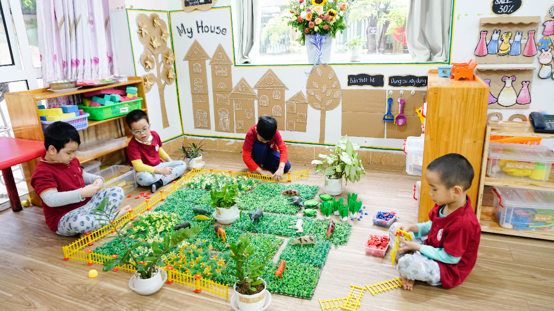 Chương trình học