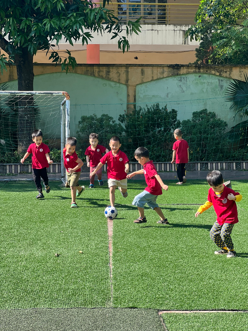 Chương trình học