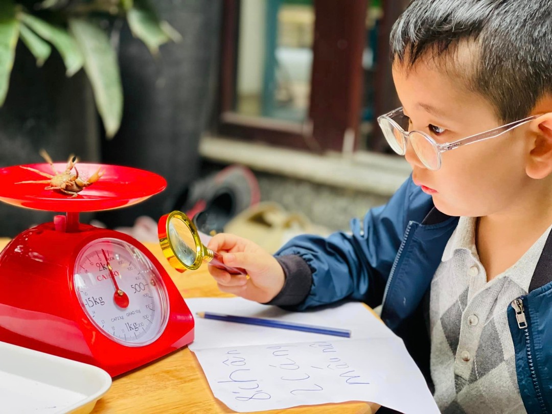Điểm nổi bật