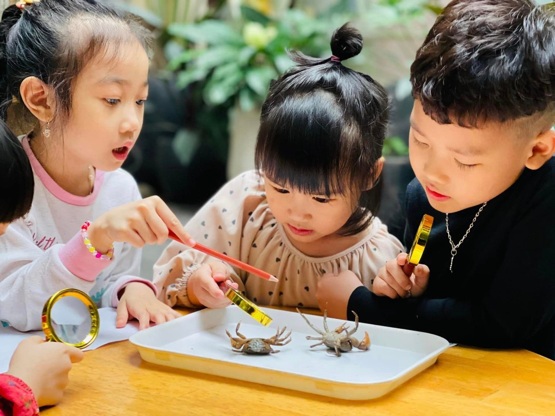 Chương trình học