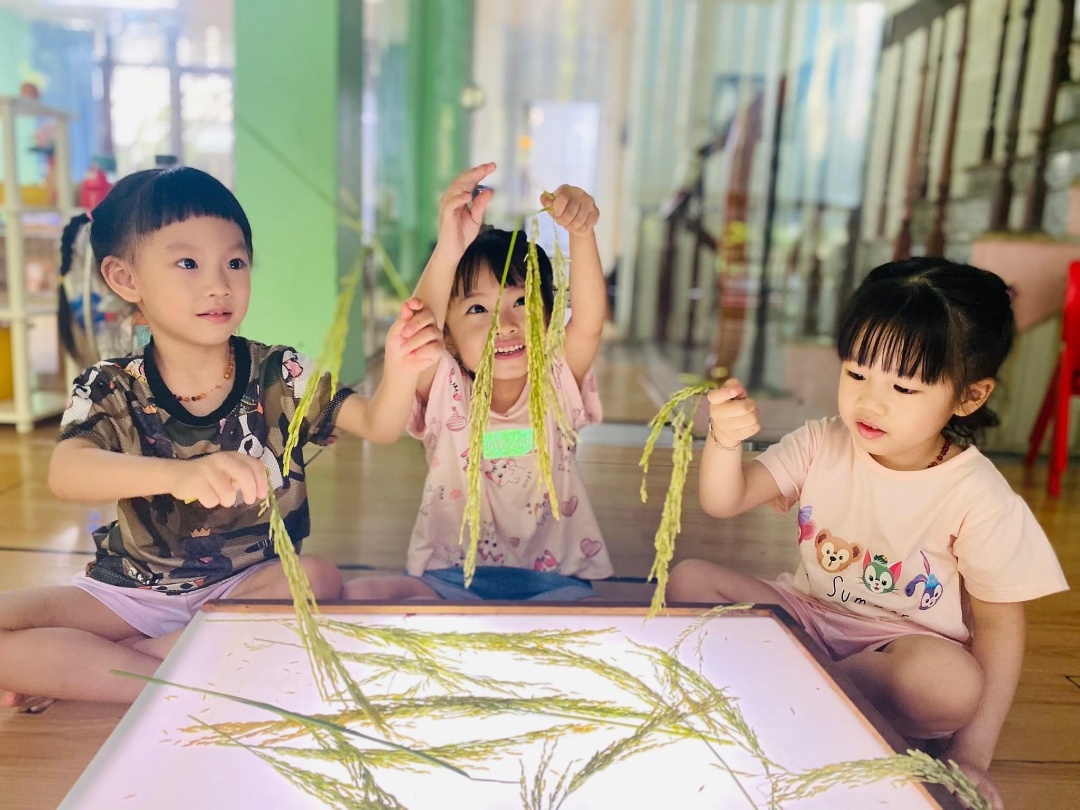 Chương trình học