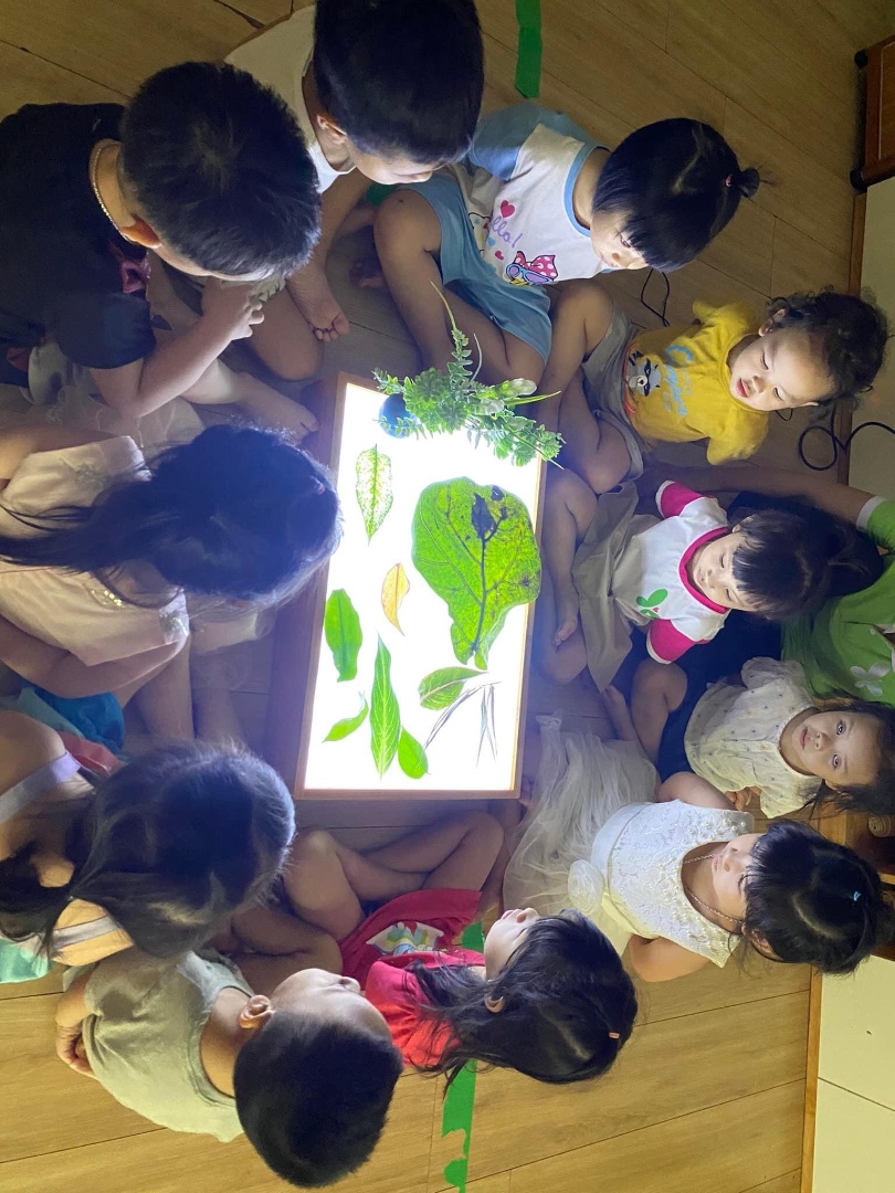 Chương trình học