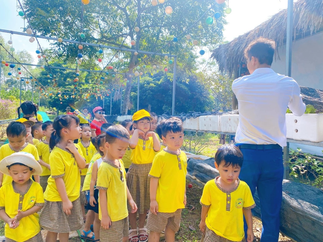 Chương trình học