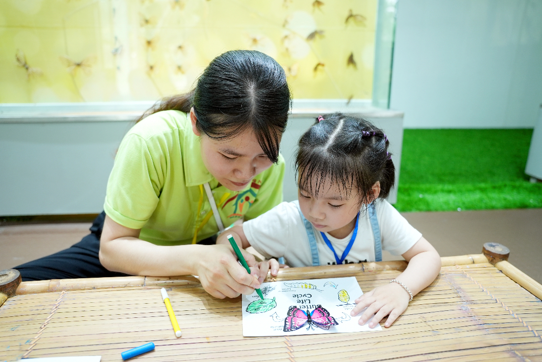 Chương trình học