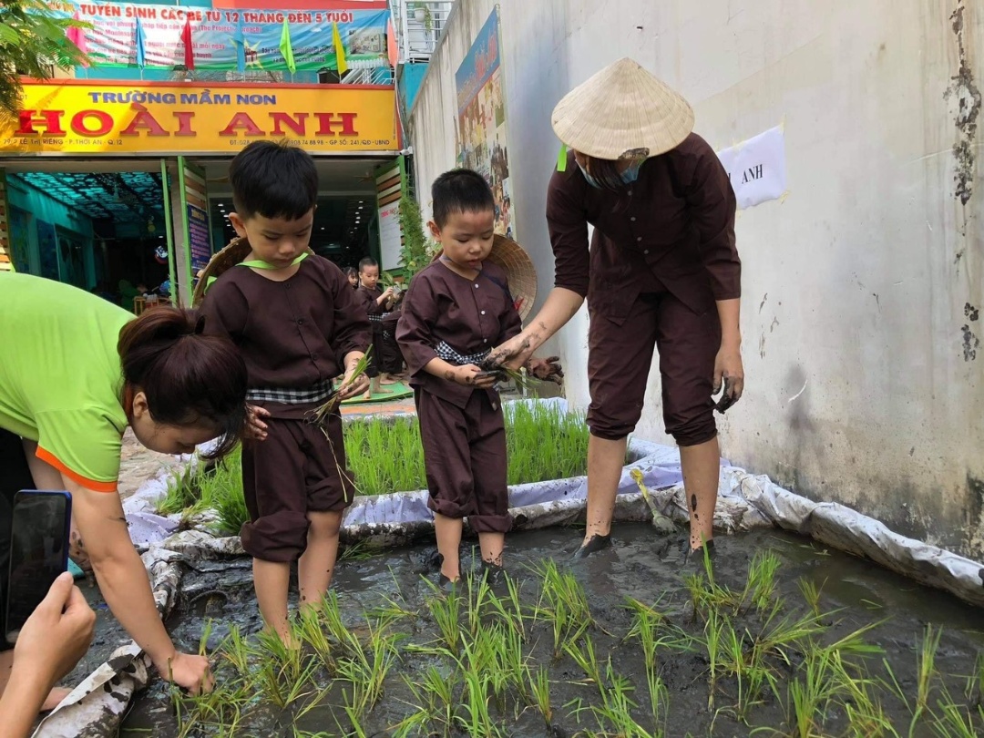 Chương trình học