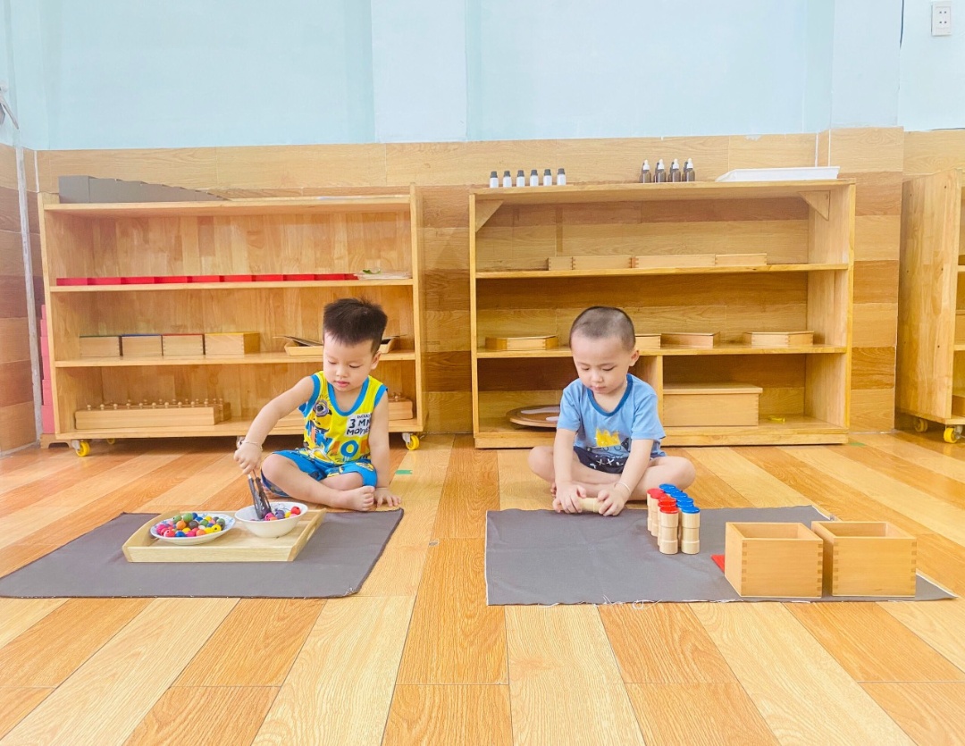 Chương trình học