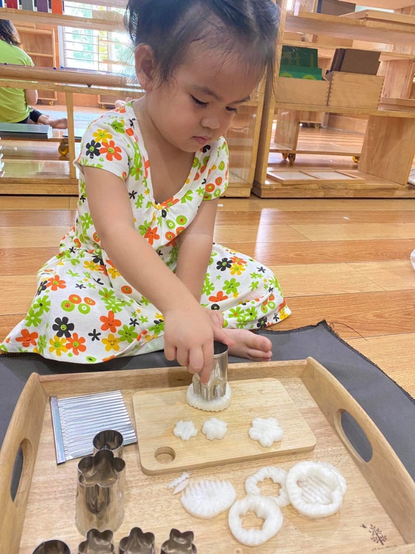 Chương trình học