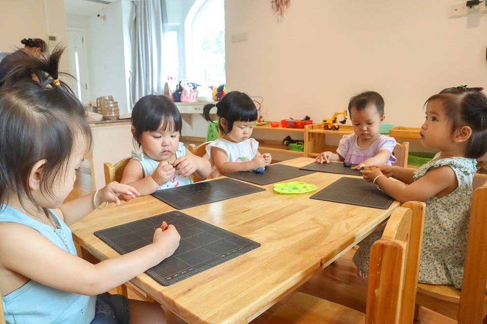 Chương trình học