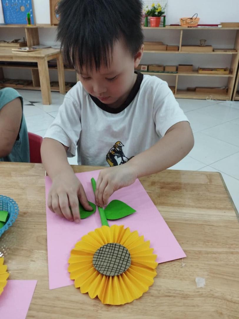 Chương trình học