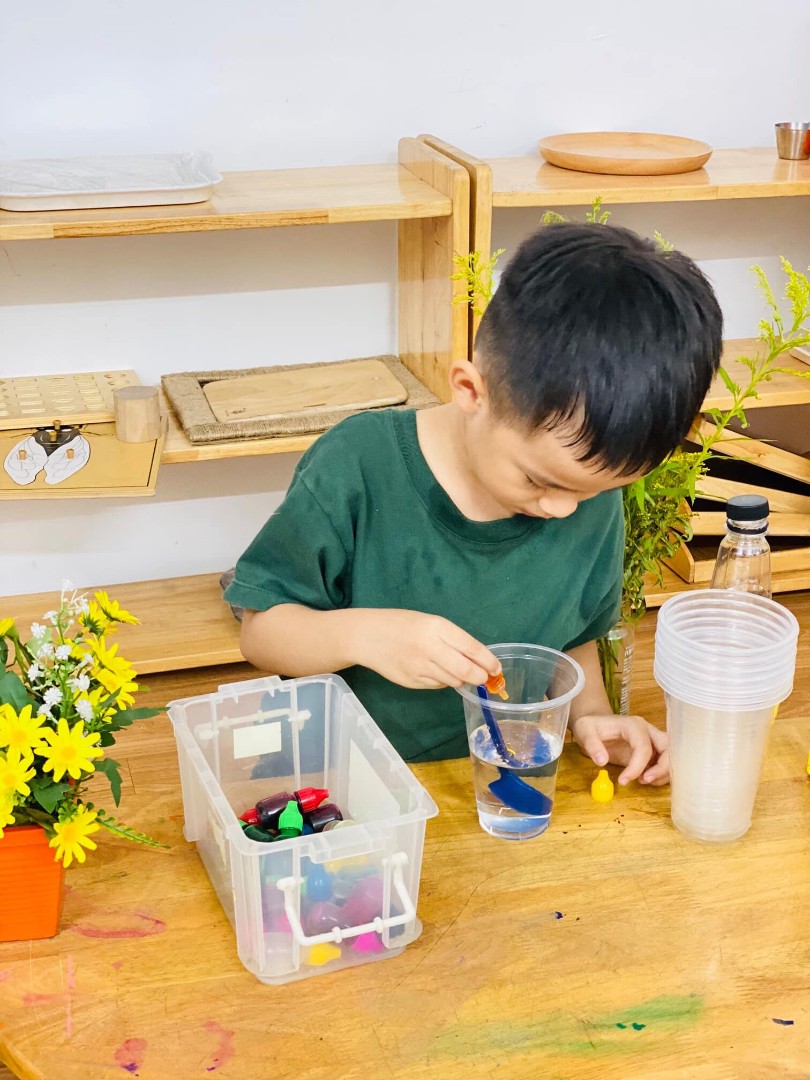 Chương trình học