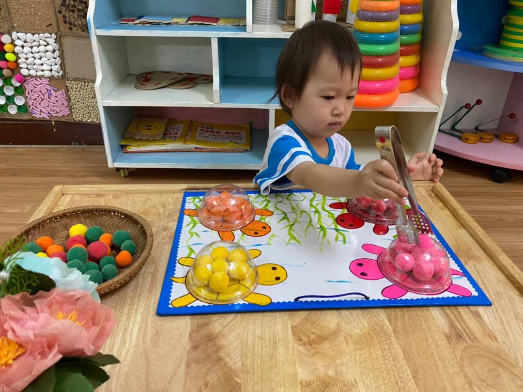 Chương trình học