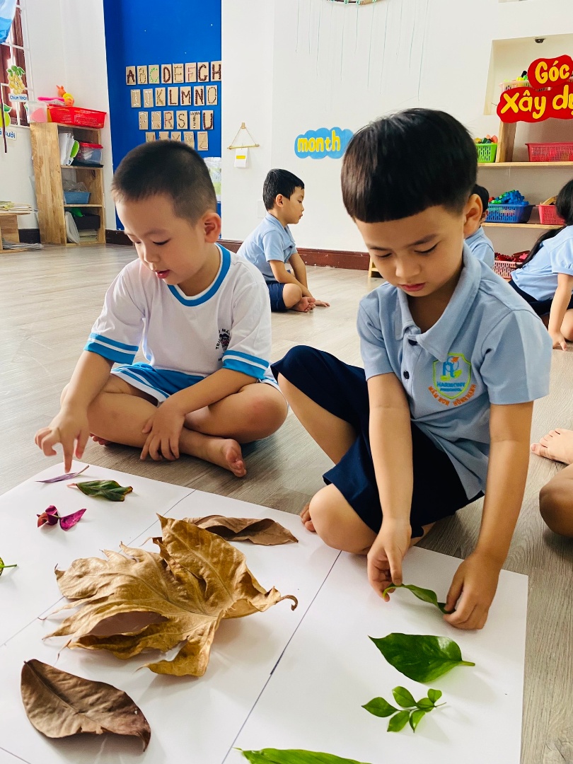 Chương trình học