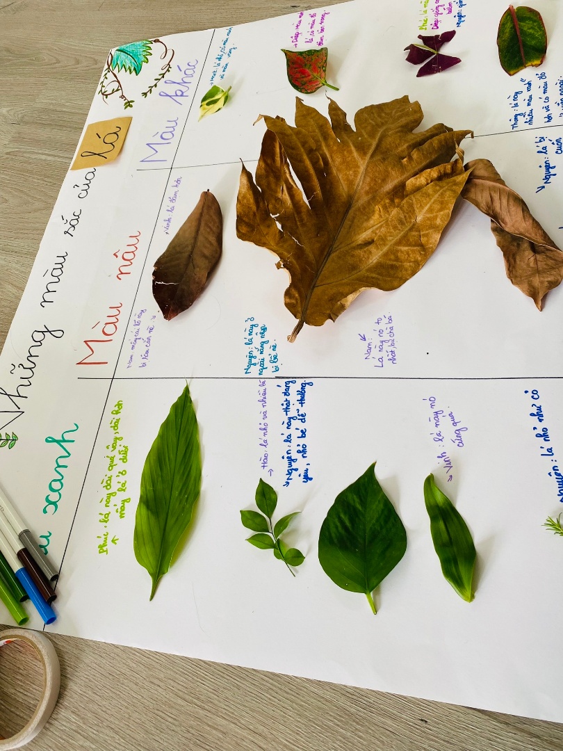 Chương trình học